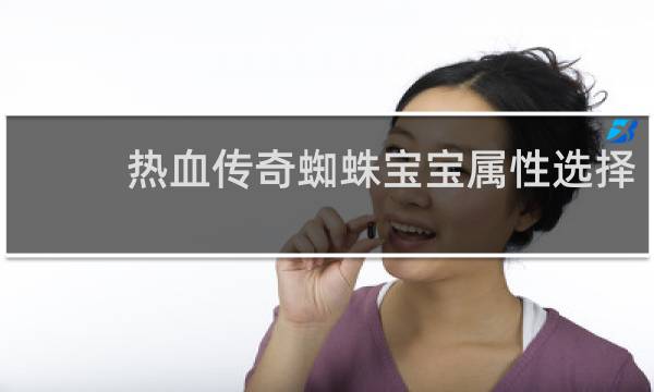 热血传奇蜘蛛宝宝属性选择