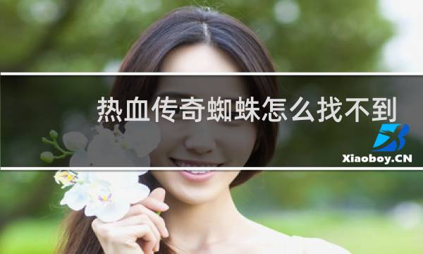 热血传奇蜘蛛怎么找不到