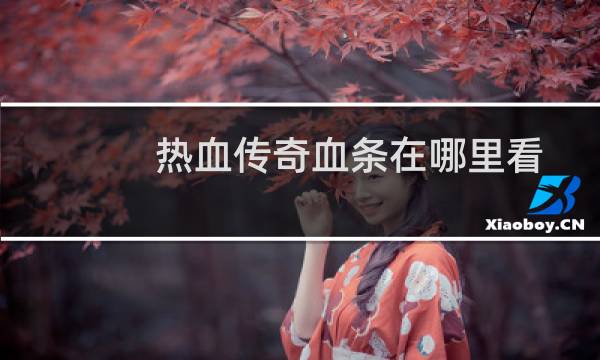 热血传奇血条在哪里看