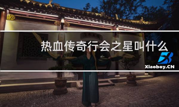热血传奇行会之星叫什么