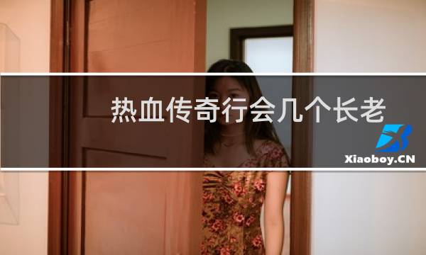 热血传奇行会几个长老