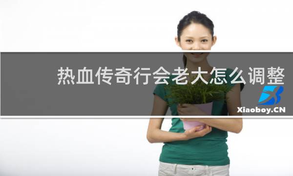 热血传奇行会老大怎么调整