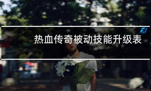 热血传奇被动技能升级表