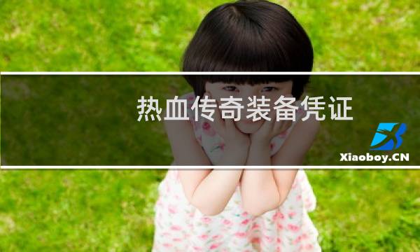 热血传奇装备凭证