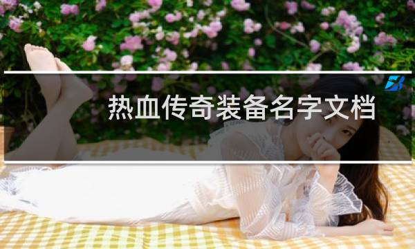 热血传奇装备名字文档