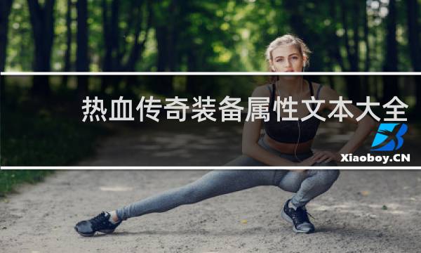 热血传奇装备属性文本大全