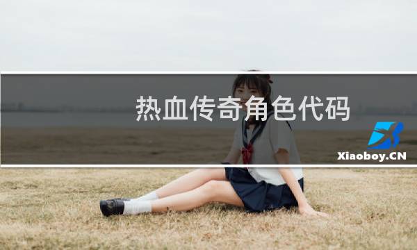 热血传奇角色代码