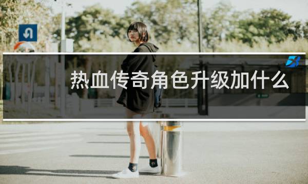 热血传奇角色升级加什么