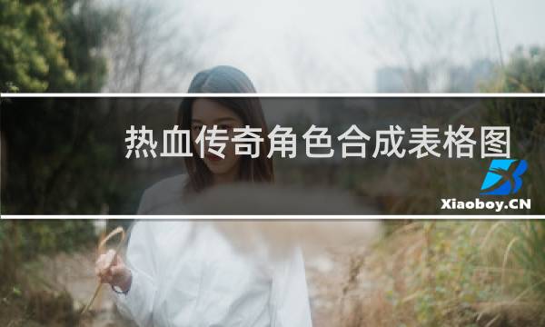热血传奇角色合成表格图