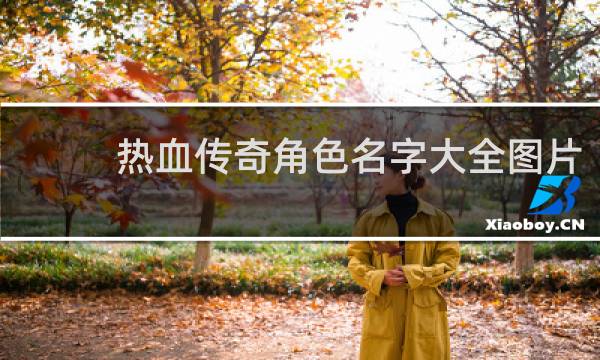 热血传奇角色名字大全图片