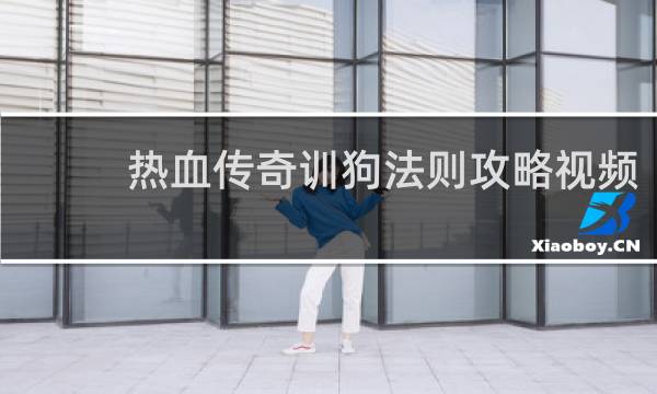 热血传奇训狗法则攻略视频