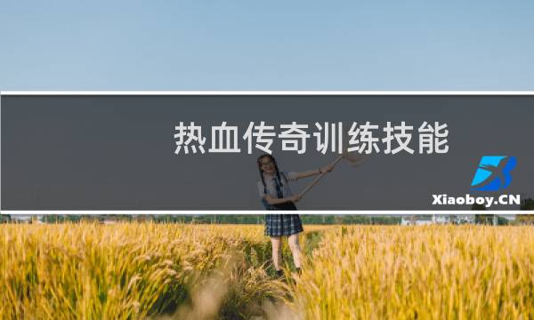 热血传奇训练技能