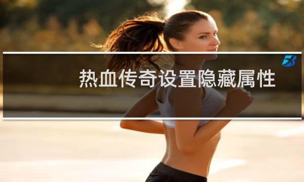 热血传奇设置隐藏属性