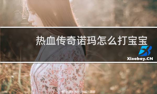 热血传奇诺玛怎么打宝宝