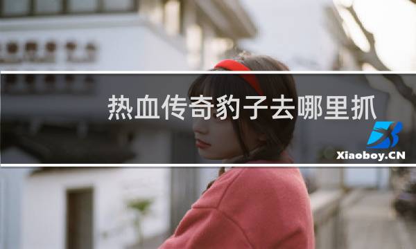 热血传奇豹子去哪里抓