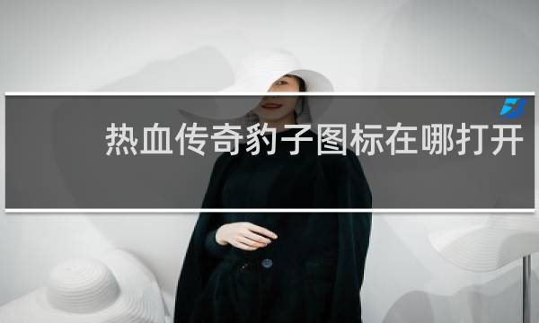 热血传奇豹子图标在哪打开