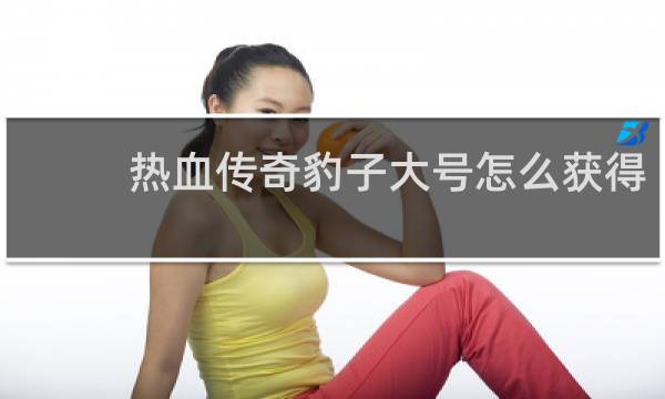 热血传奇豹子大号怎么获得