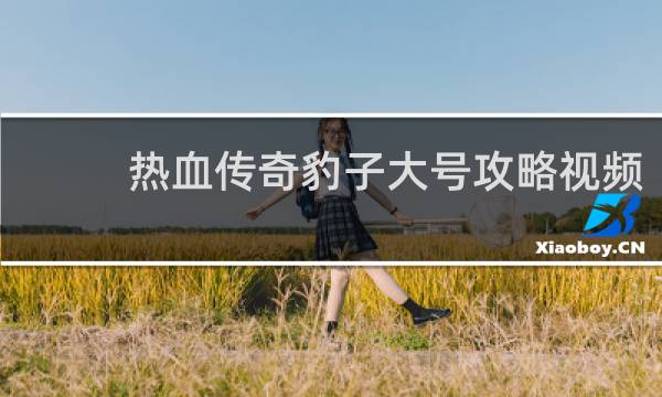 热血传奇豹子大号攻略视频