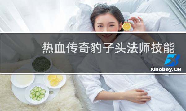 热血传奇豹子头法师技能