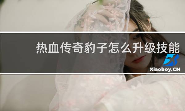 热血传奇豹子怎么升级技能