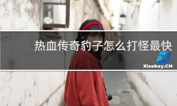 热血传奇豹子怎么打怪最快