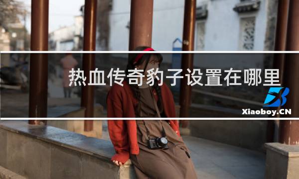 热血传奇豹子设置在哪里