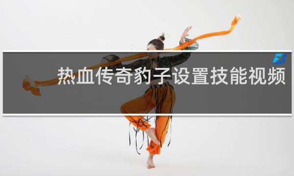 热血传奇豹子设置技能视频