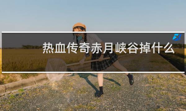 热血传奇赤月峡谷掉什么