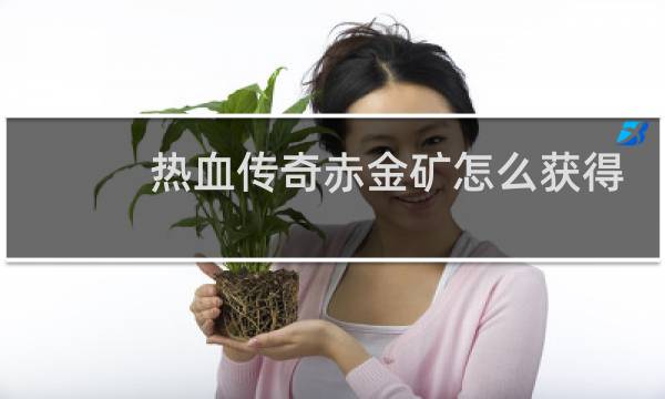 热血传奇赤金矿怎么获得