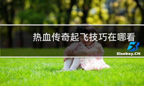 热血传奇起飞技巧在哪看