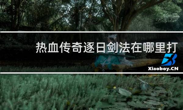 热血传奇逐日剑法在哪里打