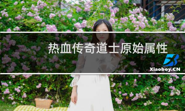 热血传奇道士原始属性