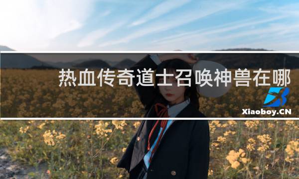 热血传奇道士召唤神兽在哪