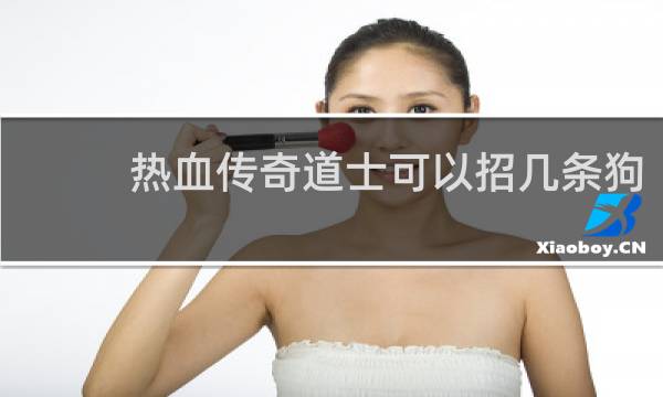 热血传奇道士可以招几条狗