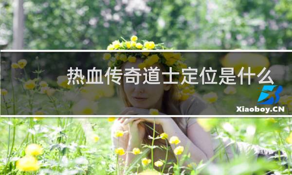 热血传奇道士定位是什么