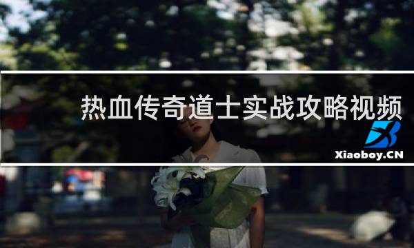 热血传奇道士实战攻略视频