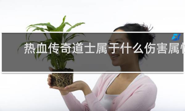 热血传奇道士属于什么伤害属性