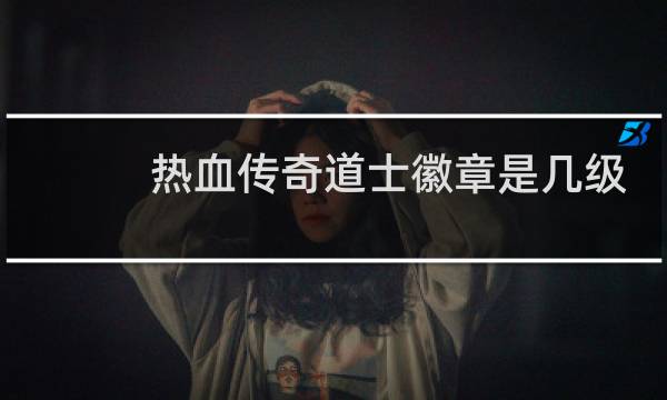 热血传奇道士徽章是几级
