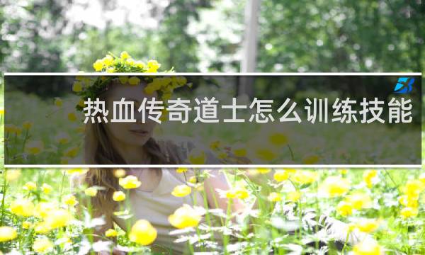 热血传奇道士怎么训练技能