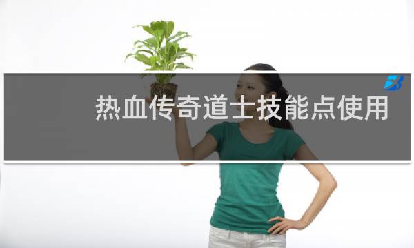 热血传奇道士技能点使用