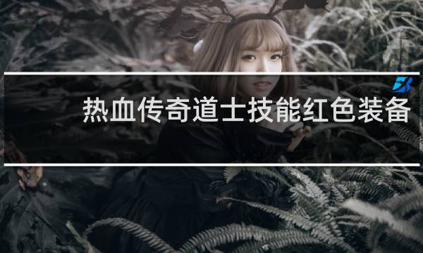 热血传奇道士技能红色装备