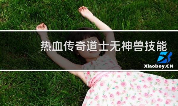热血传奇道士无神兽技能