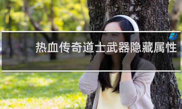 熱血傳奇道士武器隱藏屬性