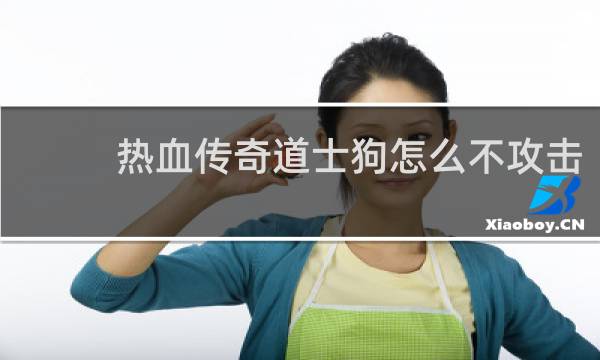 热血传奇道士狗怎么不攻击