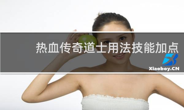 热血传奇道士用法技能加点