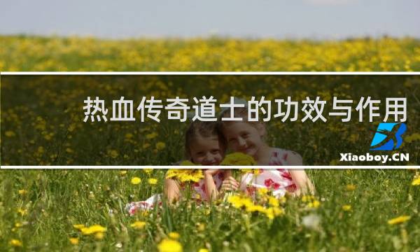 热血传奇道士的功效与作用