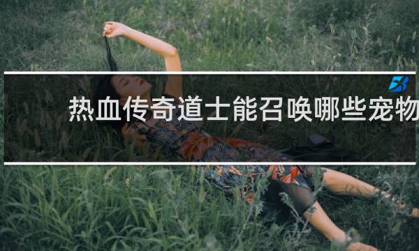 热血传奇道士能召唤哪些宠物