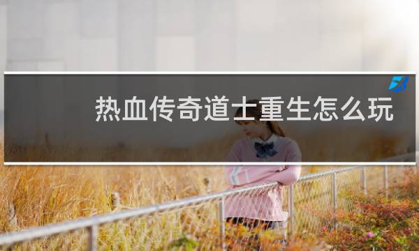 热血传奇道士重生怎么玩