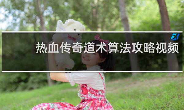 热血传奇道术算法攻略视频