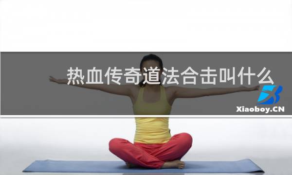 热血传奇道法合击叫什么